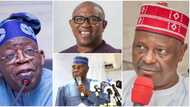 Fashola Challenges Atiku, Peter Obi, Kwankwaso, Other Opponents of Tinubu, to Show What They Have to Offer