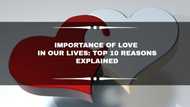 Importance of love in our lives: Top 10 reasons explained