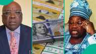 Naira to dollar exchange rate: Former adviser to MKO Abiola offers solution to inflation