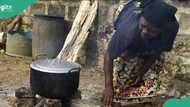 Abuja residents turn to firewood, charcoal as cooking gas price soars