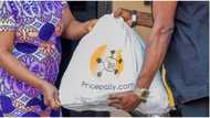 Pricepally: Nigerian founders secure six figures for their ecommerce business