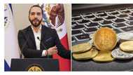 44 Countries, including Nigeria, meet in El Salvador to discuss Bitcoin