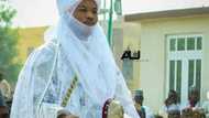Yadda muka yi da mahaifina da na nemi sarautar gargajiya - Ashraf Sanusi Lamido