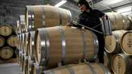 Sobering news: French winemakers go teetotal