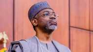 “Forgive me”: Gbajabiamila begs Nigerian students over Harvard enrollment post amid incessant ASUU strike