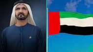 Dubai issues over 1 million residence permits, releases detailed report