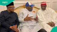 Shugaban NDC a Kano ya fara tutsu, ya zargi Kwankwaso da ƙoƙarin ƙwace masu jam'iyya