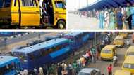 N5,000 fuel subsidy palliative: Breakdown of how Nigerians move and the cost of transportation in Lagos