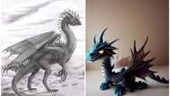 Different types of dragons from mythology and popular culture