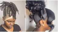 Dreadlock lady undergoes hairstyle transformation in viral video, netizens hail stylist