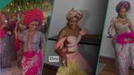 Bride unveils her bridesmaids in colourful asoebi attire, netizens react: "I prefer Karis' outfit"