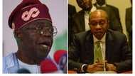 Tinubu's search for next CBN governor: Ex-CBN governor, bank owner, other prominent names make the list