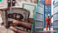 CBN announces new exchange rate to clear goods at ports as naira records massive gain