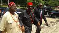 2023: Igbo elders lobby powerful Nigerians, unveil stance, action plan this week