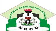 NECO result 2022: Complete guide on how to check results