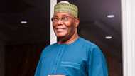 2023: Atiku appoints AbdulRasheed Shehu as special assistant