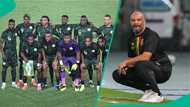 Eric Chelle: How Super Eagles could line up under new head coach after unveiling