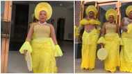 Asoebi fashion: Video of ladies in eye-catching yellow ensembles wows internet users