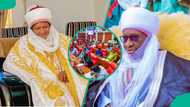 Najeriya ta yi rashi: Sanatoci sun shiga damuwa da manyan sarakuna 2 suka rasu a Arewa