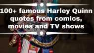 80+ famous Harley Quinn quotes from comics, movies and TV shows