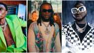 "Don't want to hear any freedom-fighting songs from you all": Fans warn Burna Boy, Wizkid, Davido, and Olamide