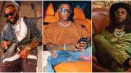 Fans pick Davido over Wizkid and Burna Boy as the Nigerian musician to hold the best concert ever