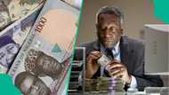 Over 3 million BDC operators face shutdown over N2 billion capital rule