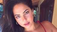 Christen Harper: Personal life, career, and relationship