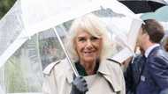 Camilla Parker Bowles: révélations sur l’amour de Charles