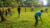 Show of love: Christians join Muslims to clear grass at Kaduna mosque