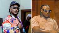 “Make Una No Go Vote Person Wey Go Ban Music”: Peruzzi Advises Nigerians, Talks About After Election 'Gbas Gbos'