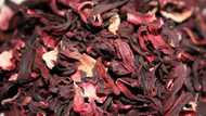 Hibiscus exportation generated N3.6bn for Jigawa farmers in 2018 - Official