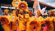 Why Celebration Remains One of Nigeria's Most Powerful Cultural Forces