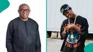 Peter Obi on TikTok Live: Peller’s reaction trends after spotting presidential candidate on session