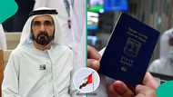 UAE announces 1 occupation where foreigners can get free work permit, mentions who can apply