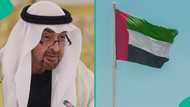 UAE releases work permit costs based on company classification, explains conditions affecting price
