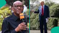 Wike reveals those allegedly behind Donald Trump's threat