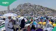 2025 Hajj: Tragedy as Nigerian pilgrim passes away in Arafat, cause of death emerge