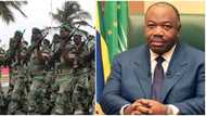 Breaking: Gabon coup leader arrests ousted President Bongo’s son, gives reason