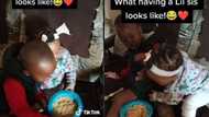 "Really Patient": Little sister labours hard to turn brother's food, grabs plate, video goes viral on TikTok