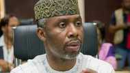 Uche Nwosu Accused of Influencing APC Reps' Primary in Favour of In-Law
