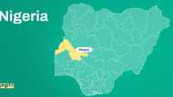 Bandits invade Kwara communities, kill 3 vigilantes, steal over 100 cows in fresh attacks