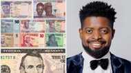 Can we just go back to using cowries? Basket expresses surprise all Naira notes together is less than $5