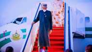 Buhari returns to Abuja from Spain, meets top APC governors as consensus candidate plot thickens