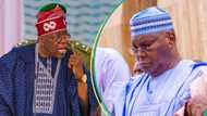 BREAKING: Atiku files fresh evidence of forgery against Tinubu, details emerge