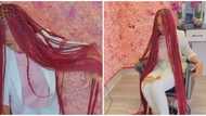 Video of lady showing off N657k extralong braids goes viral online, Nigerians react