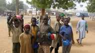 Almajiranci: Arewa na dawowa da kudu dawainiyar da ke kanta - Ohanaeze