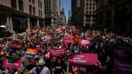 Stampede at New York Pride parade after fireworks mistaken for gunfire