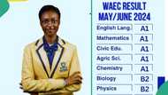 WAEC results of secondary school in Port Harcourt surface as 10 students score A1 in many subjects