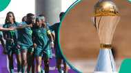 New opponent emerges for Super Falcons after Ghana cancels friendly over Nigeria's lack of players